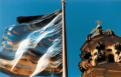 Sky Flag